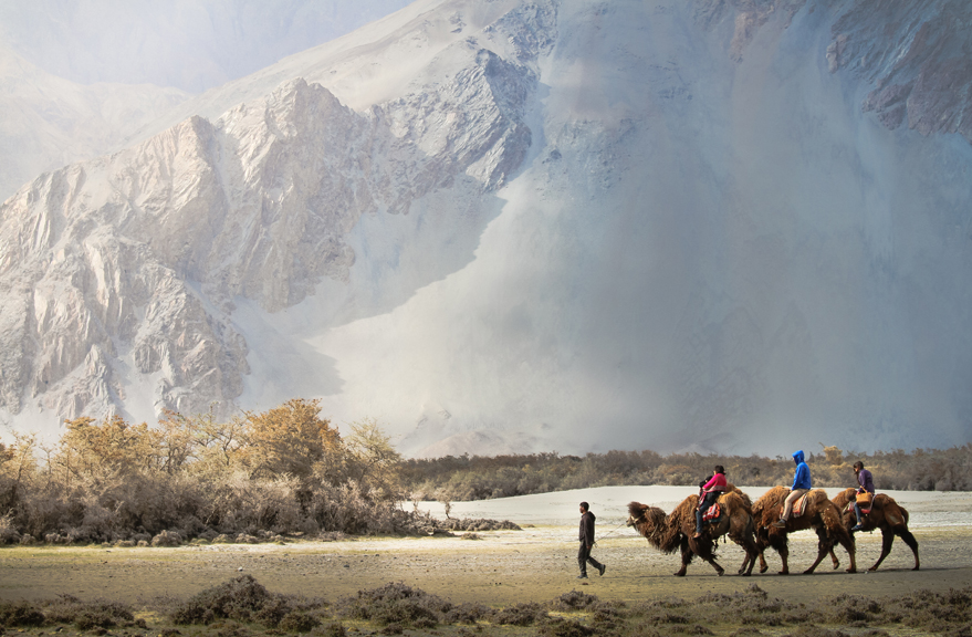 Nubra Valley : How To Reach, Best Time & Things to Do