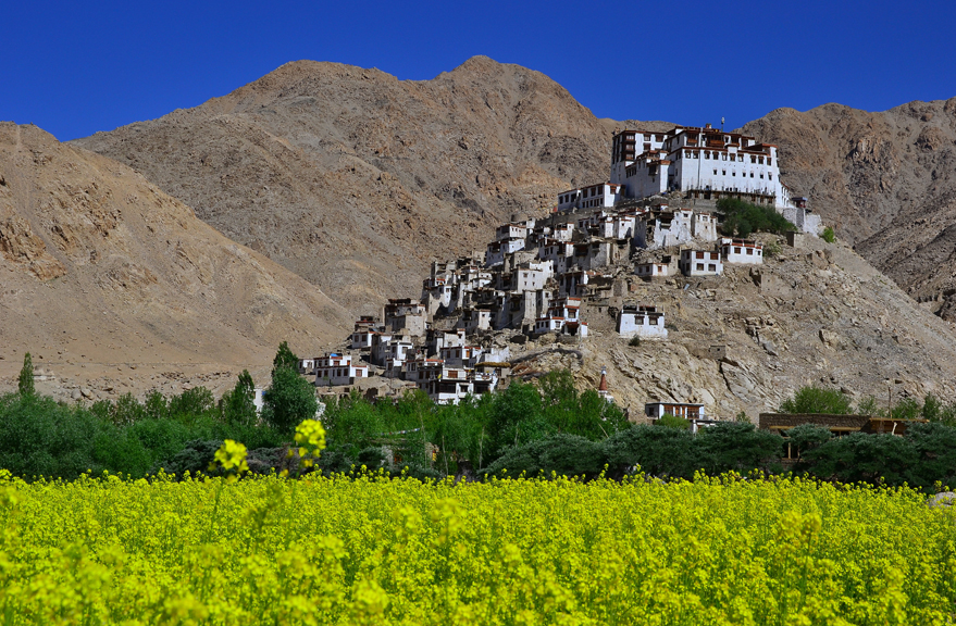 visit ladakh in july