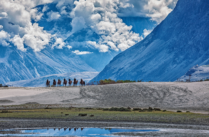 Nubra Valley, Ladakh, Leh, India, alex hanoko