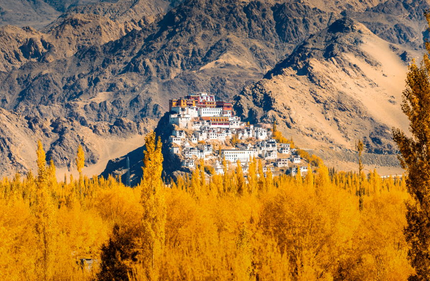 Thiksey Monastery