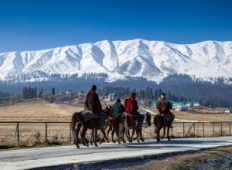 Kashmir Family Tour Package