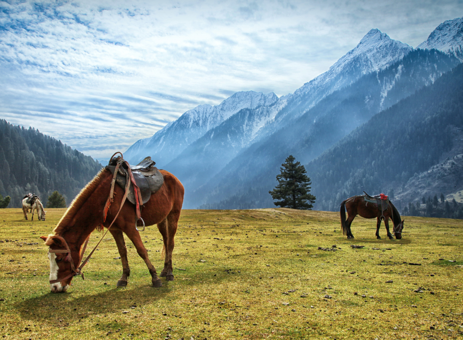 Aru Valley Near Pahalgam