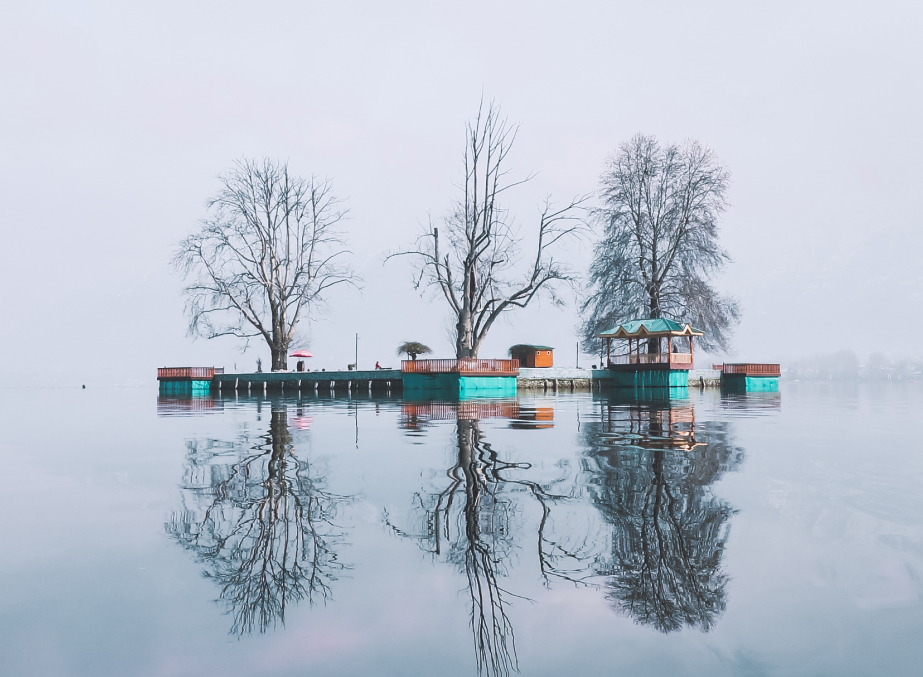 char chinar in Dal Lake in winter season