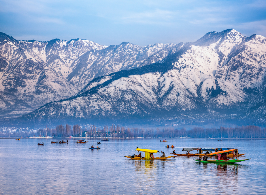 Dal Lake In Winter