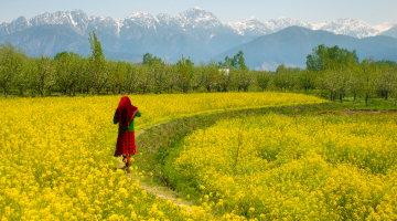 december trip in gulmarg