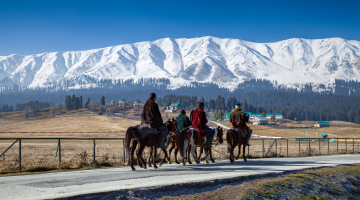 Magnificent Kashmir with Pahalgam and Gulmarg