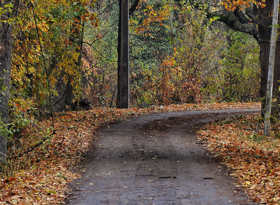 Dachigam National Park