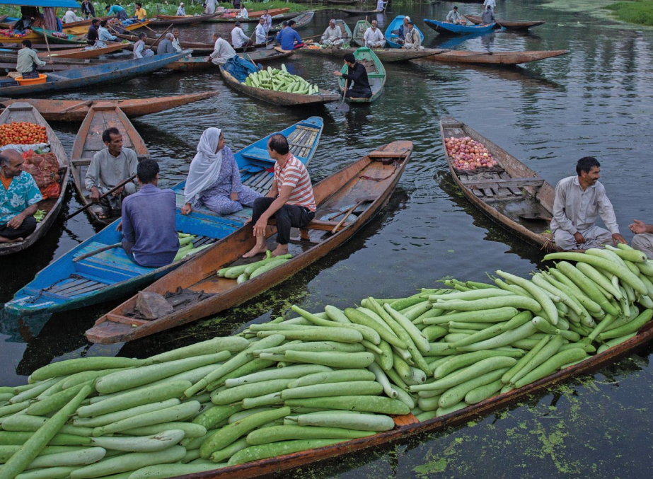 Unique Floating Vegetable Market Dal Lake