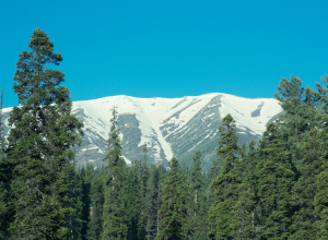 Biosphere Reserve