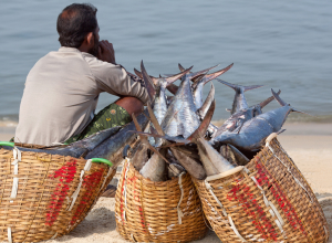 Fishing