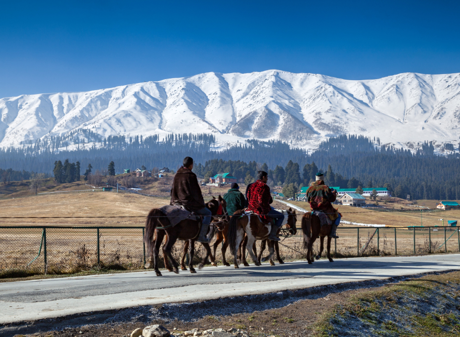 Horse Riding