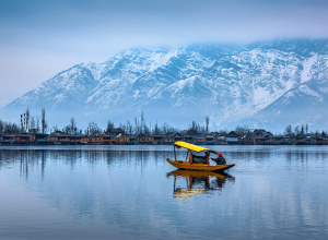 Shikara Ride on Dal Lake