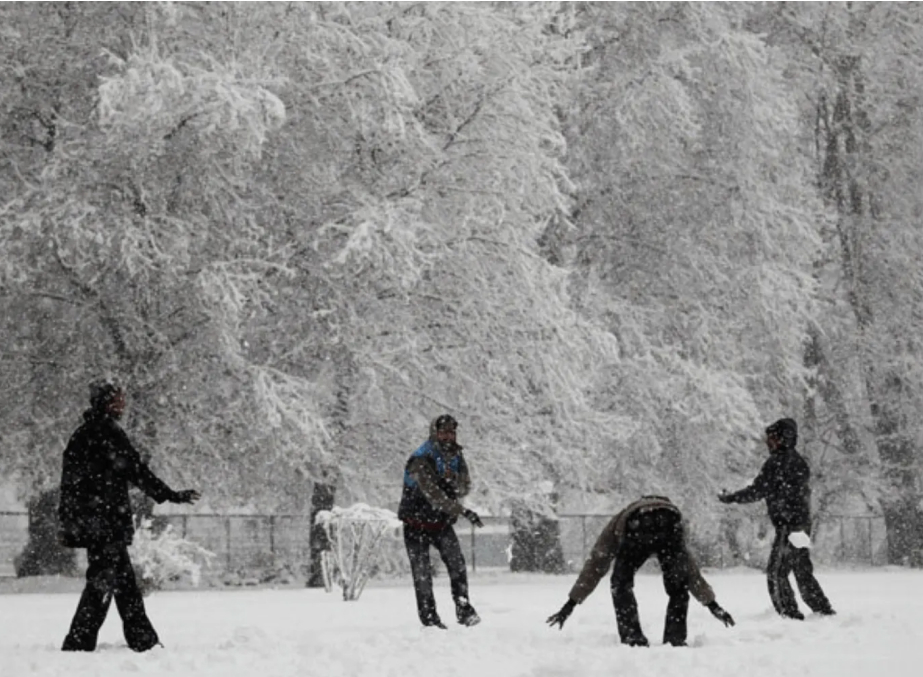 Snowball Fights