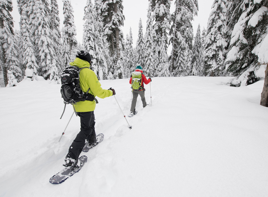 Snowshoeing