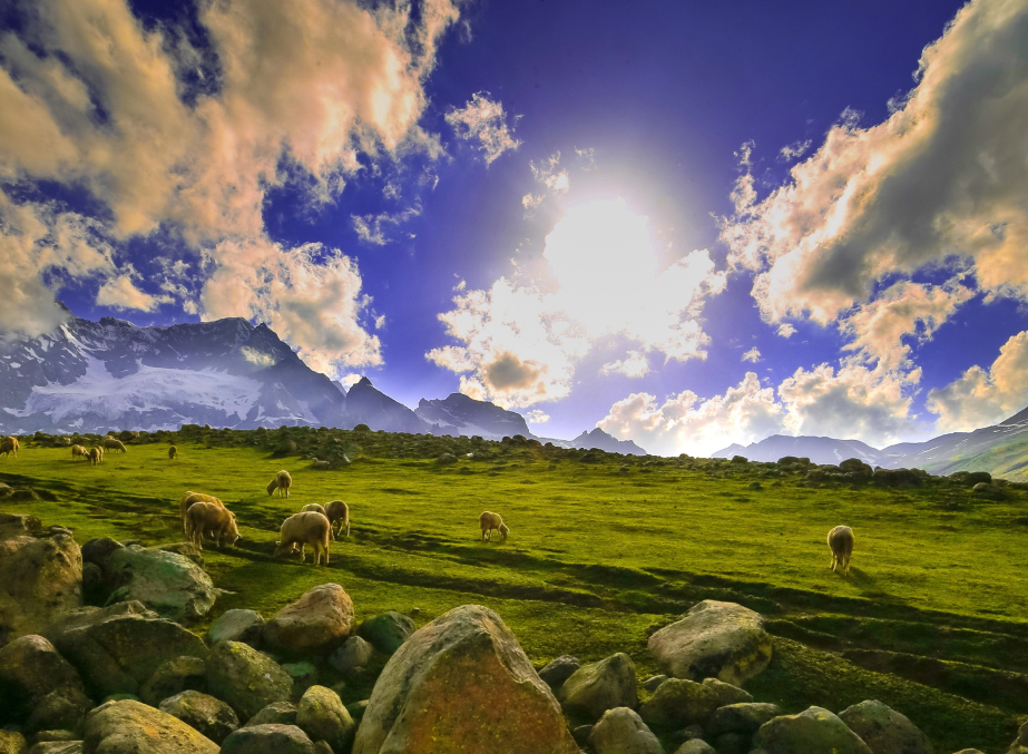 Sonamarg view