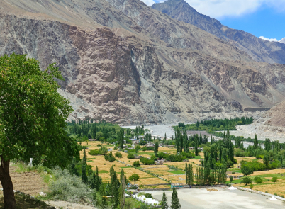 Breathtaking Ladakh with Turtuk & Pangong Excursion