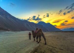 Nubra Valley Ladakh